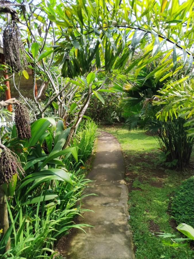 Kanda Homestay 시데멘 외부 사진